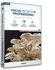FOCUS Projects Professional 6